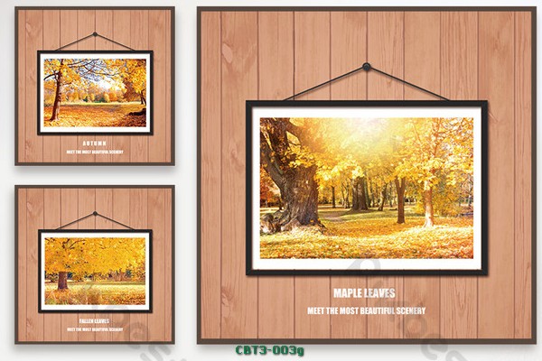 Mùa thu vàng CBT3-003g